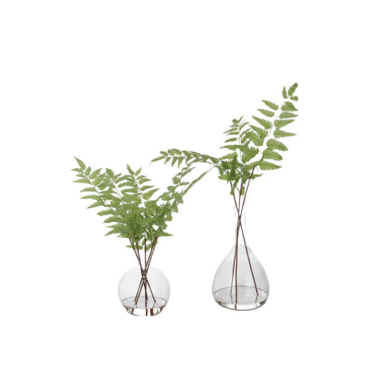 Country Ferns Vase ( Set of Two )